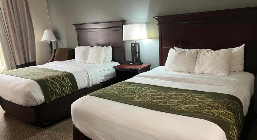 Hotel Comfort I-49 2*