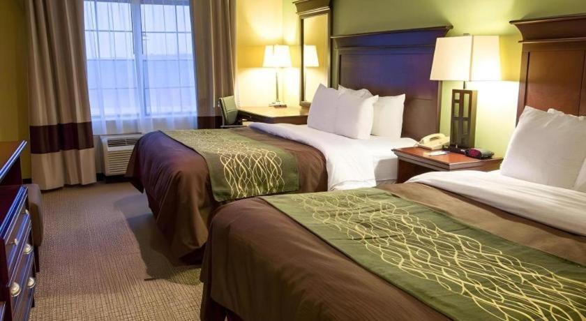Hotel Comfort I-49 Shreveport